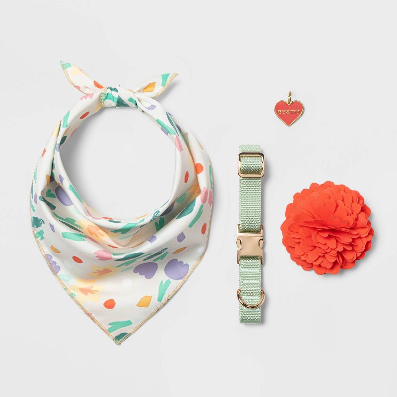 slide 3 of 3, Fashion Solid Dog Collar - S - Dusty Robin - Boots & Barkley™, 1 ct