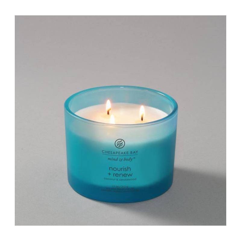 slide 5 of 7, 3-Wick Frosted Glass Nourish + Renew Lidded Jar Candle Light Blue 11oz - Mind & Body by Chesapeake Bay Candle: Soy Wax, Essential Oils, 11 oz