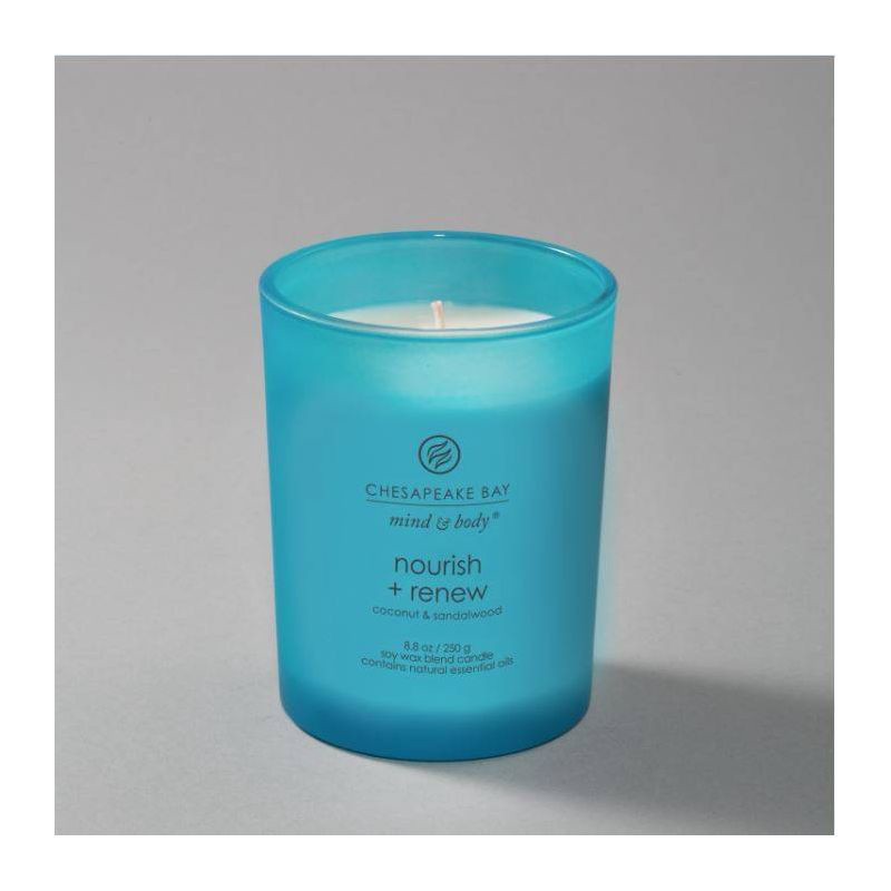 slide 4 of 6, Frosted Glass Nourish + Renew Lidded Jar Candle Light Blue 8.8oz - Mind & Body by Chesapeake Bay Candle: Soy Wax Blend, Essential Oils, 8.8 oz