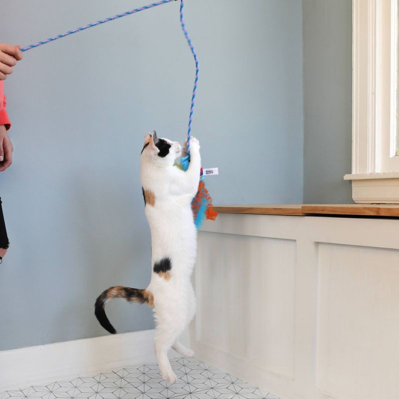 slide 3 of 6, Quirky Kitty Purrtato Chips Wand Cat Toy - Blue, 1 ct