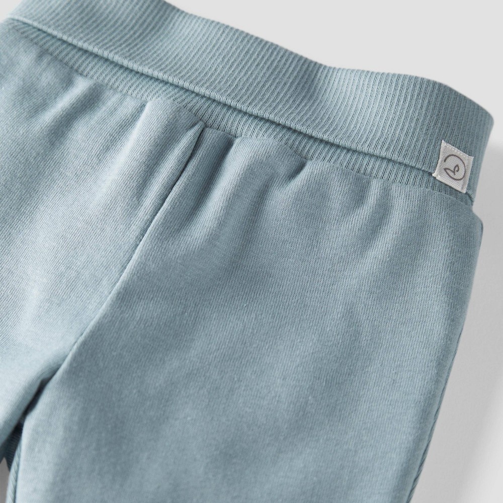 slide 2 of 2, Baby 2pk Organic Cotton Pants - little planet by carter's Gray/Blue 24M, 1 ct