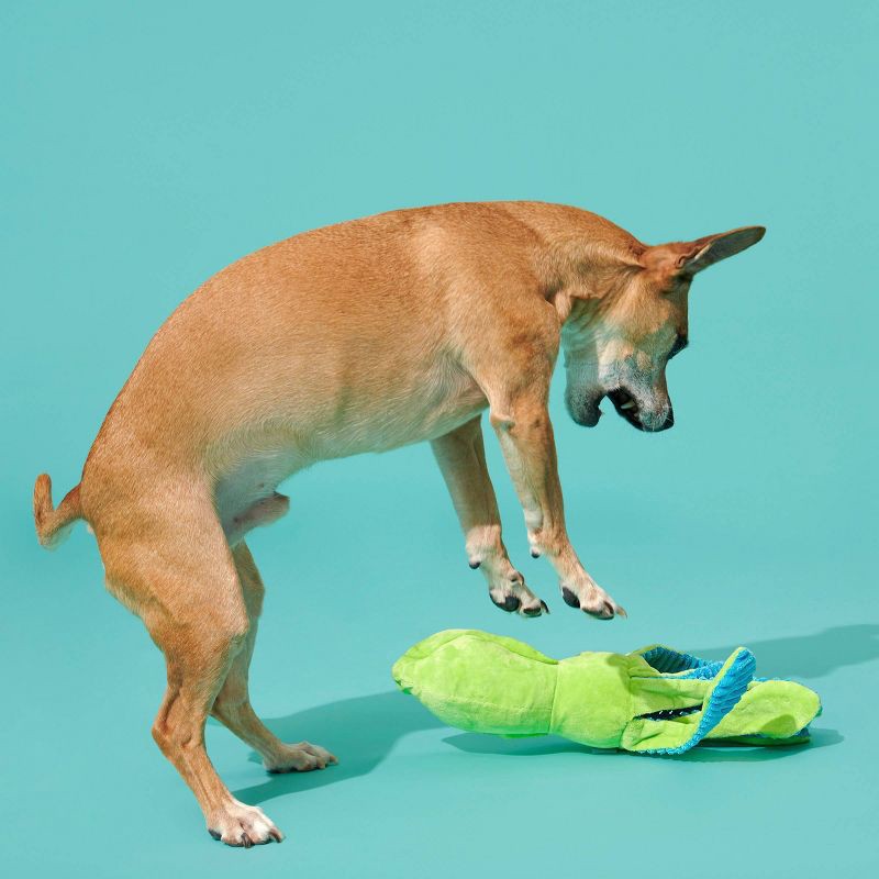 slide 4 of 5, BARK Billy The Squid Dog Toy - Green, 1 ct