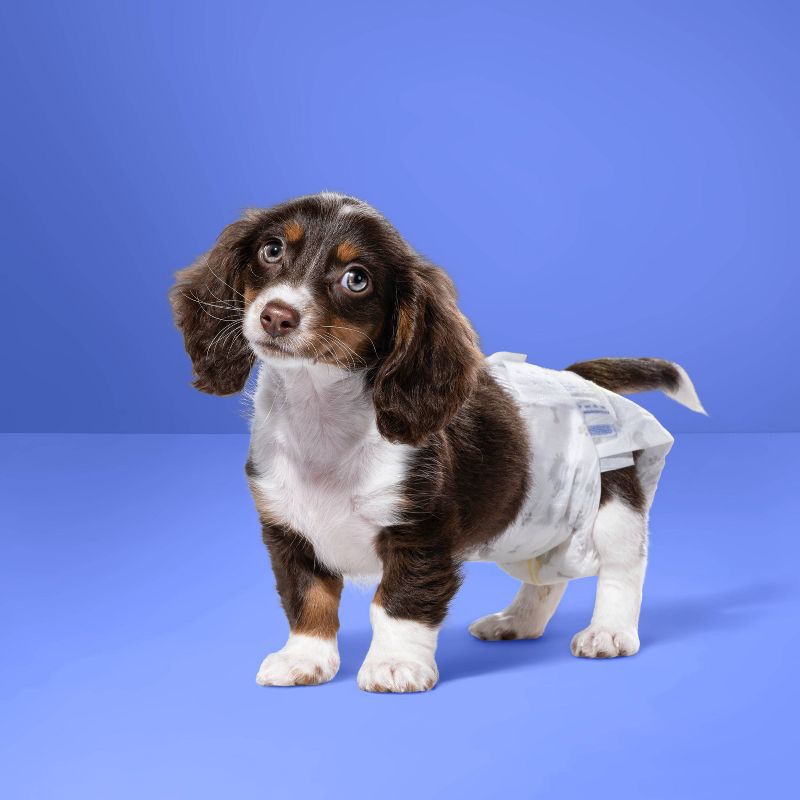 slide 2 of 5, Dog Diapers - 18ct - XS - up&up™, 18 ct