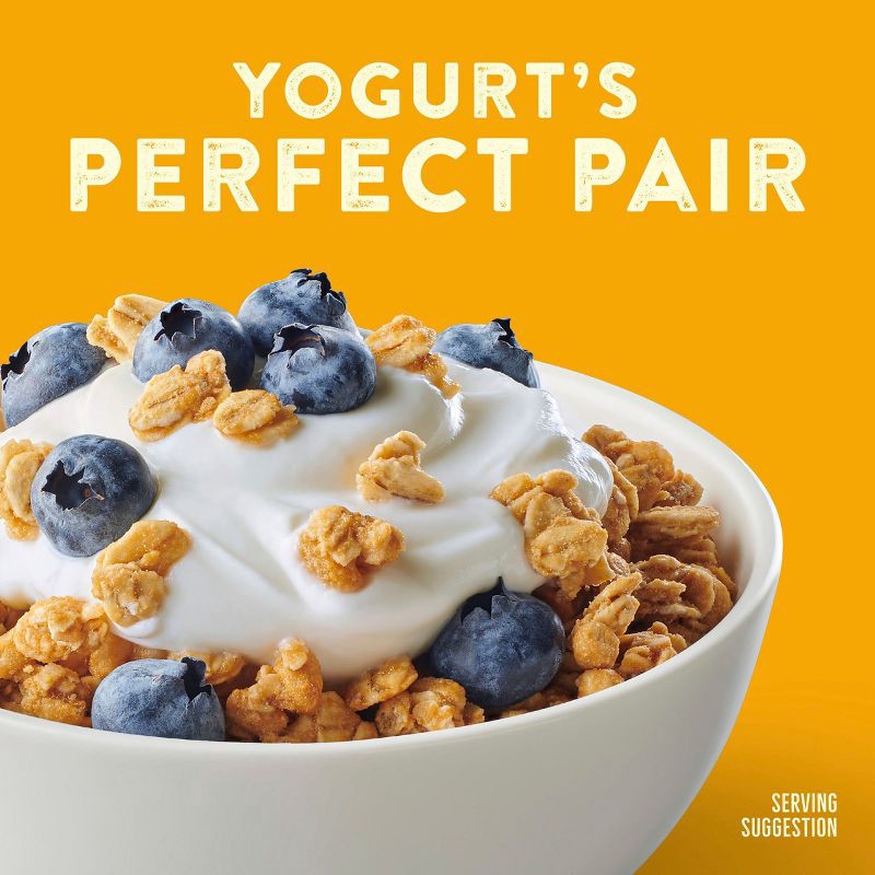 slide 5 of 10, Nature Valley Protein Granola Oats & Honey Family Size Cereal - 17oz, 17 oz