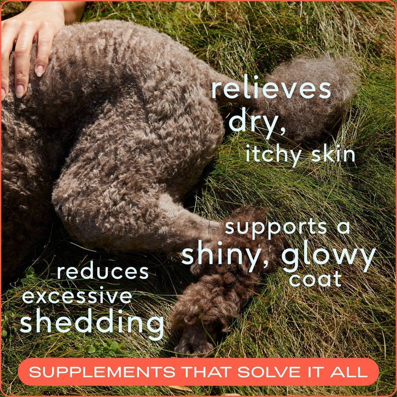 slide 3 of 7, Native Pet Fish Flavor Omega Oil Vitamins and Supplements for Dogs - 8 fl oz, 8 fl oz