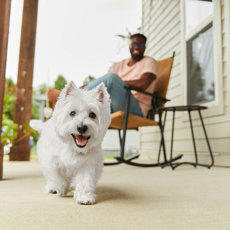 slide 4 of 10, Cesar Wholesome Bowls Beef, Chicken, Carrots, Barley and Green Beans Adult Wet Dog Food - 3oz, 3 oz