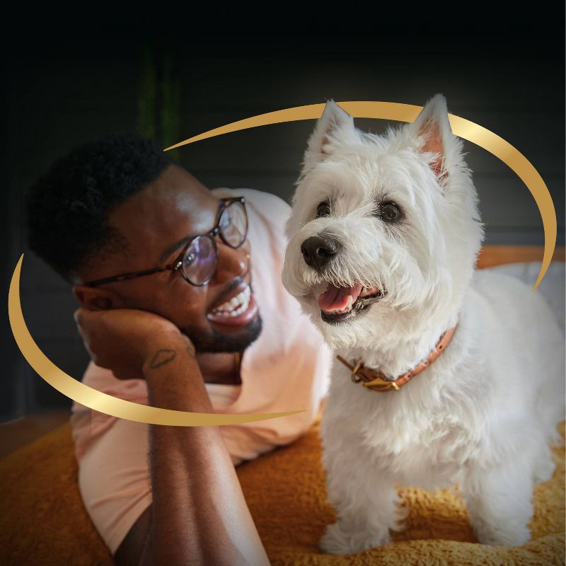 slide 9 of 10, Cesar Wholesome Bowls Beef, Chicken, Carrots, Barley and Green Beans Adult Wet Dog Food - 3oz, 3 oz