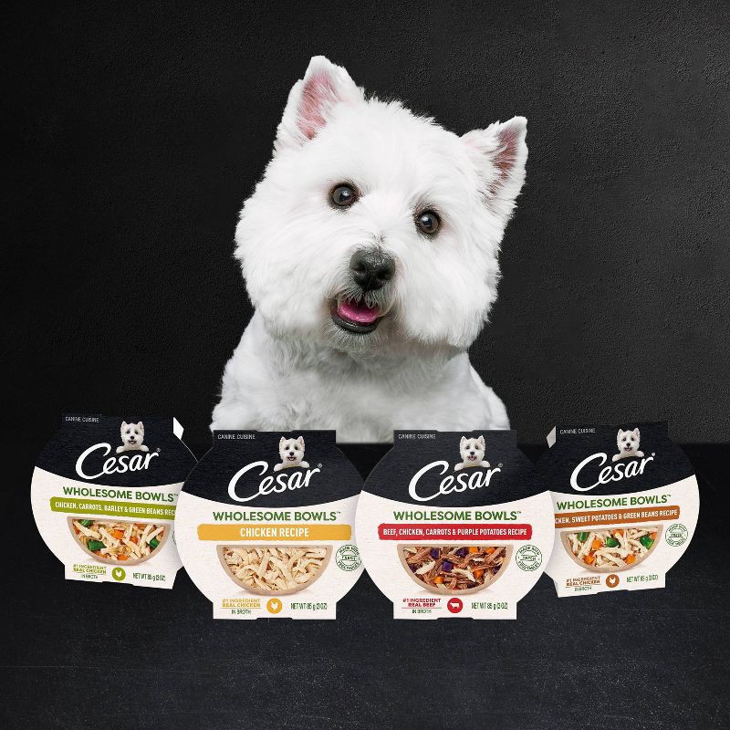 slide 10 of 10, Cesar Wholesome Bowls Chicken, Apple & Sweet Potato Recipe Adult Wet Dog Food - 3oz, 3 oz
