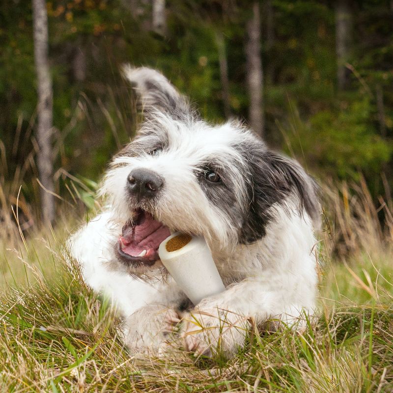 slide 3 of 4, Cadet Junior Stuffed Peanut Butter Shin Bones Mini Dog Treats - 2ct/6.9oz, 2 ct, 6.9 oz