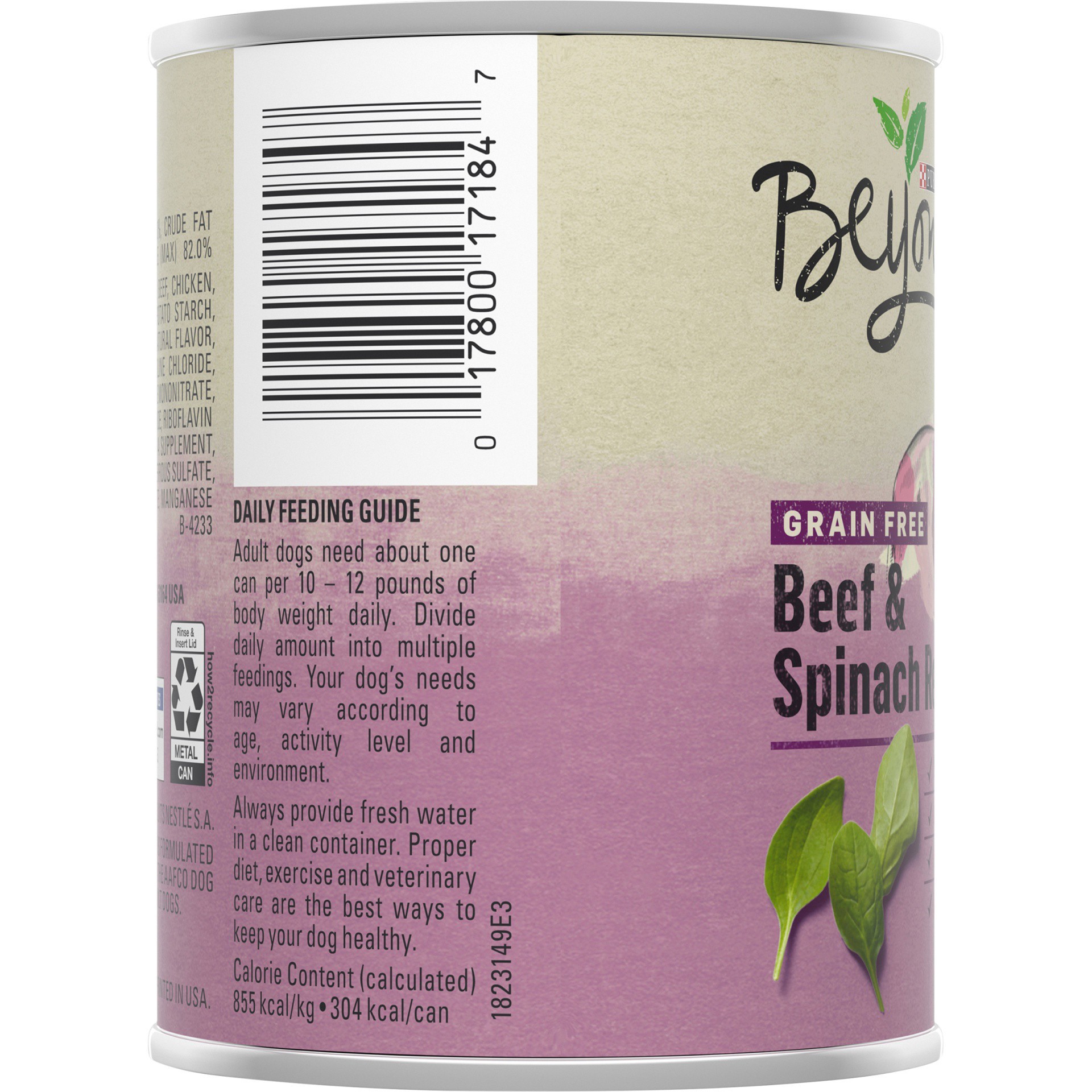 slide 2 of 7, Beyond Purina Beyond Farm-Raised Beef and Spinach in Gravy Grain Free Wet Dog Food, 12.5 oz