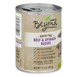 Purina Beyond Farm-Raised Beef and Spinach in Gravy Grain Free Wet Dog Food