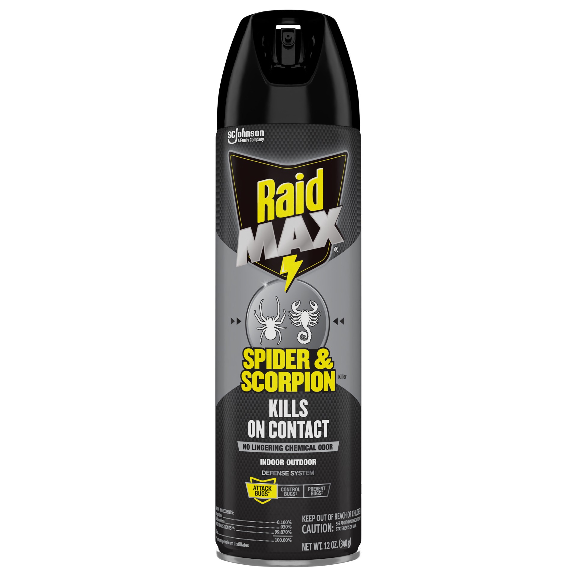 slide 1 of 3, Raid Max Indoor - Outdoor Spider & Scorpion Killer 12 oz, 12 oz