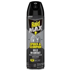 Raid Max Indoor - Outdoor Spider & Scorpion Killer 12 oz