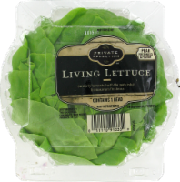 slide 1 of 1, Private Selection Living Lettuce, 1 ct