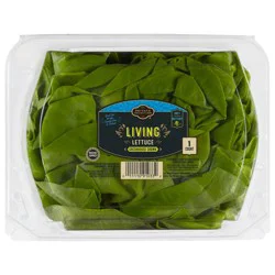 Private Selection Living Lettuce