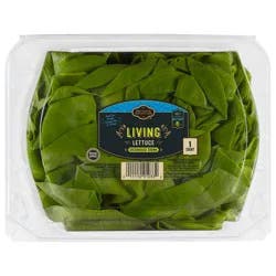 Private Selection Living Lettuce