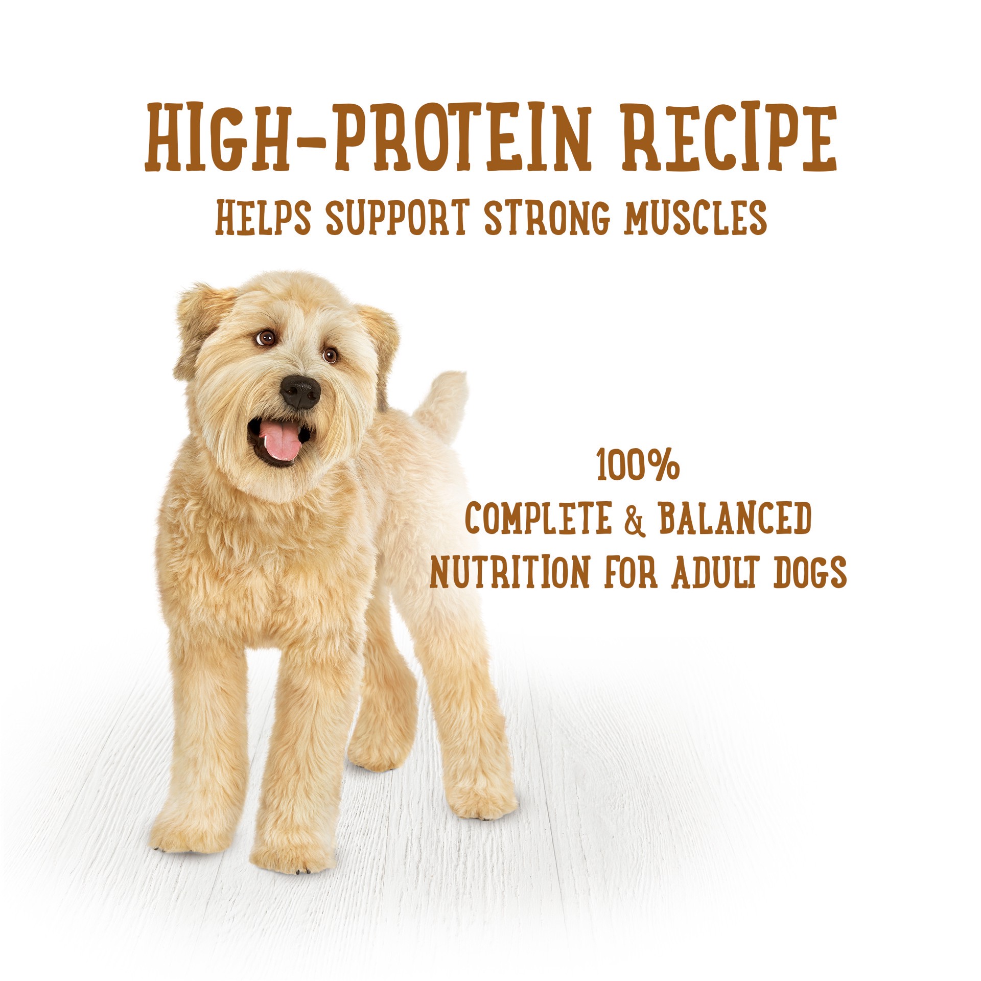 slide 4 of 9, Beneful Purina Beneful High Protein, Wet Dog Food With Gravy, Prepared Meals Beef & Chicken Medley, 10 oz