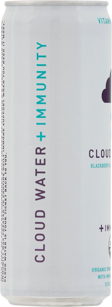 slide 8 of 9, Cloud Water Cloud Blackberry Lemon Sparkling - 12 oz, 12 oz