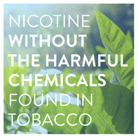 slide 6 of 29, Meijer Nicotine Polacrilex Uncoated Gum (nicotine), Original Flavor, 4 mg, 220 ct