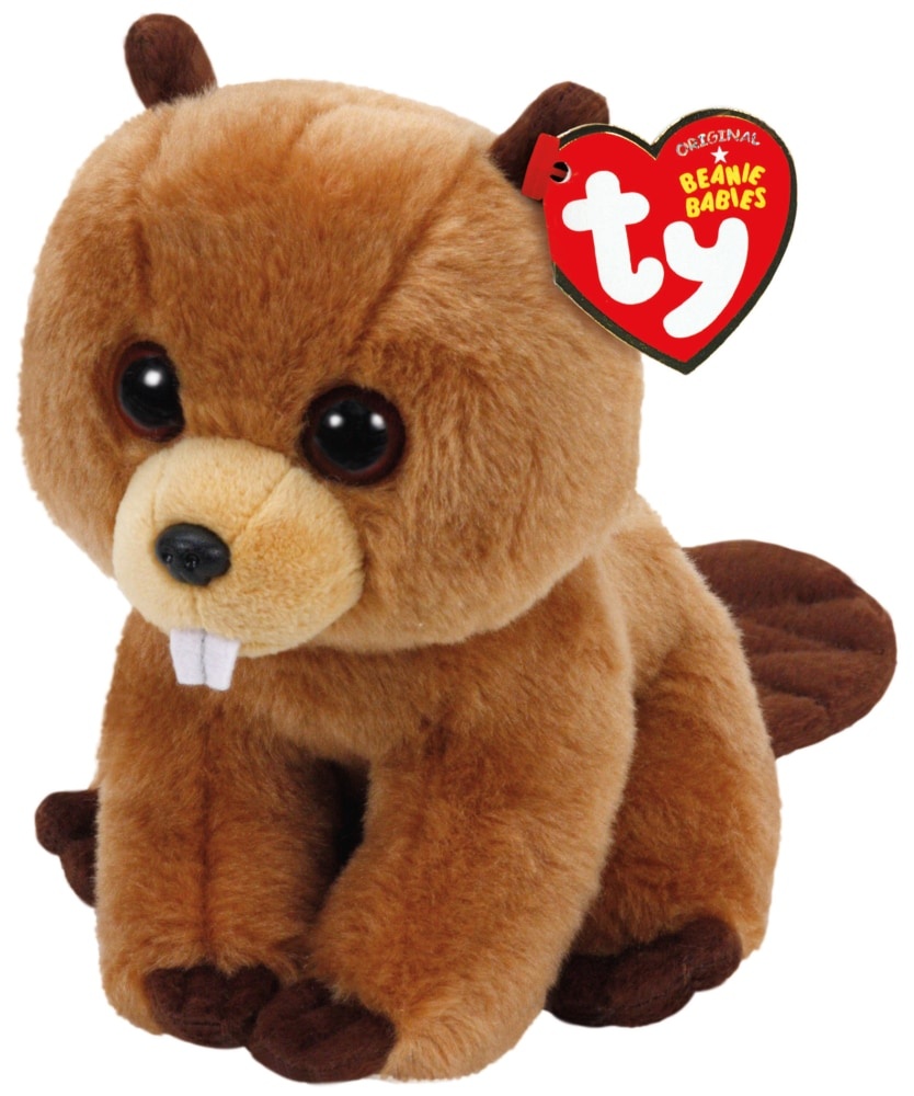 slide 1 of 1, Ty Beanie Babies Richie Plush Beaver, 8 in