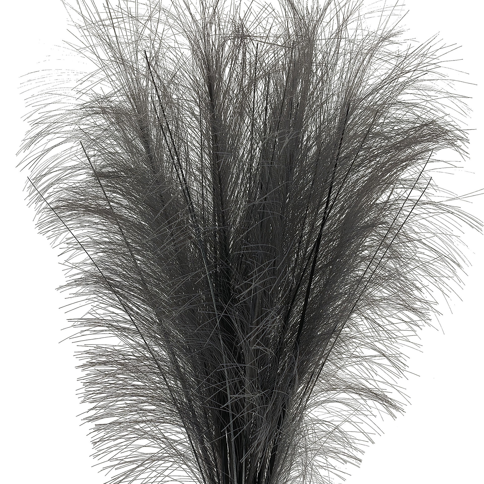 slide 2 of 3, 24" Gray Pampas Grass Bush By Ashland, 24 in
