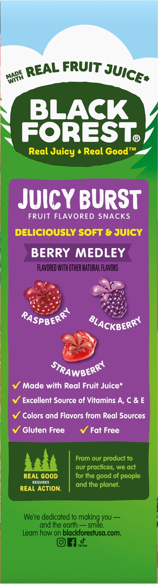 slide 5 of 16, Black Forest Juicy Burst Berry Medley Fruit Flavored Snacks 22 - 0.8 oz Pouches, 22 ct