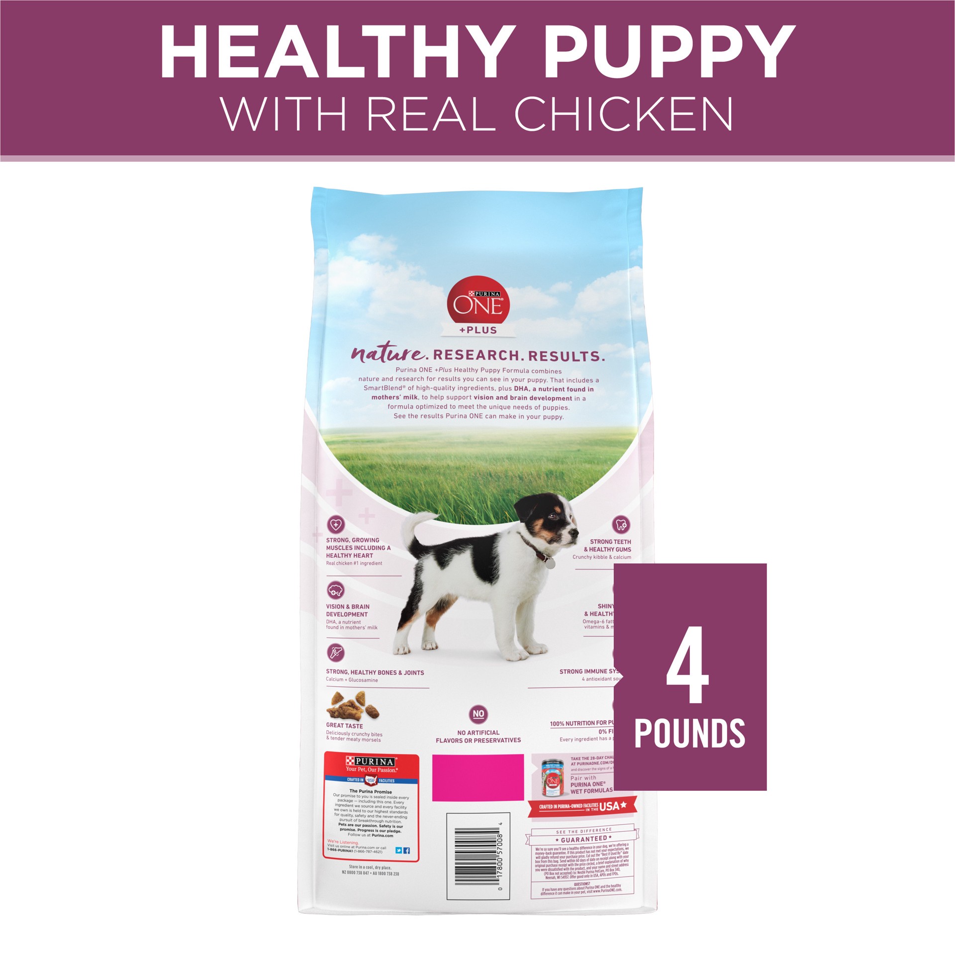 slide 7 of 9, ONE Purina ONE Plus Healthy Puppy Formula High Protein Natural Dry Puppy Food with added vitamins, minerals and nutrients, 4 lb