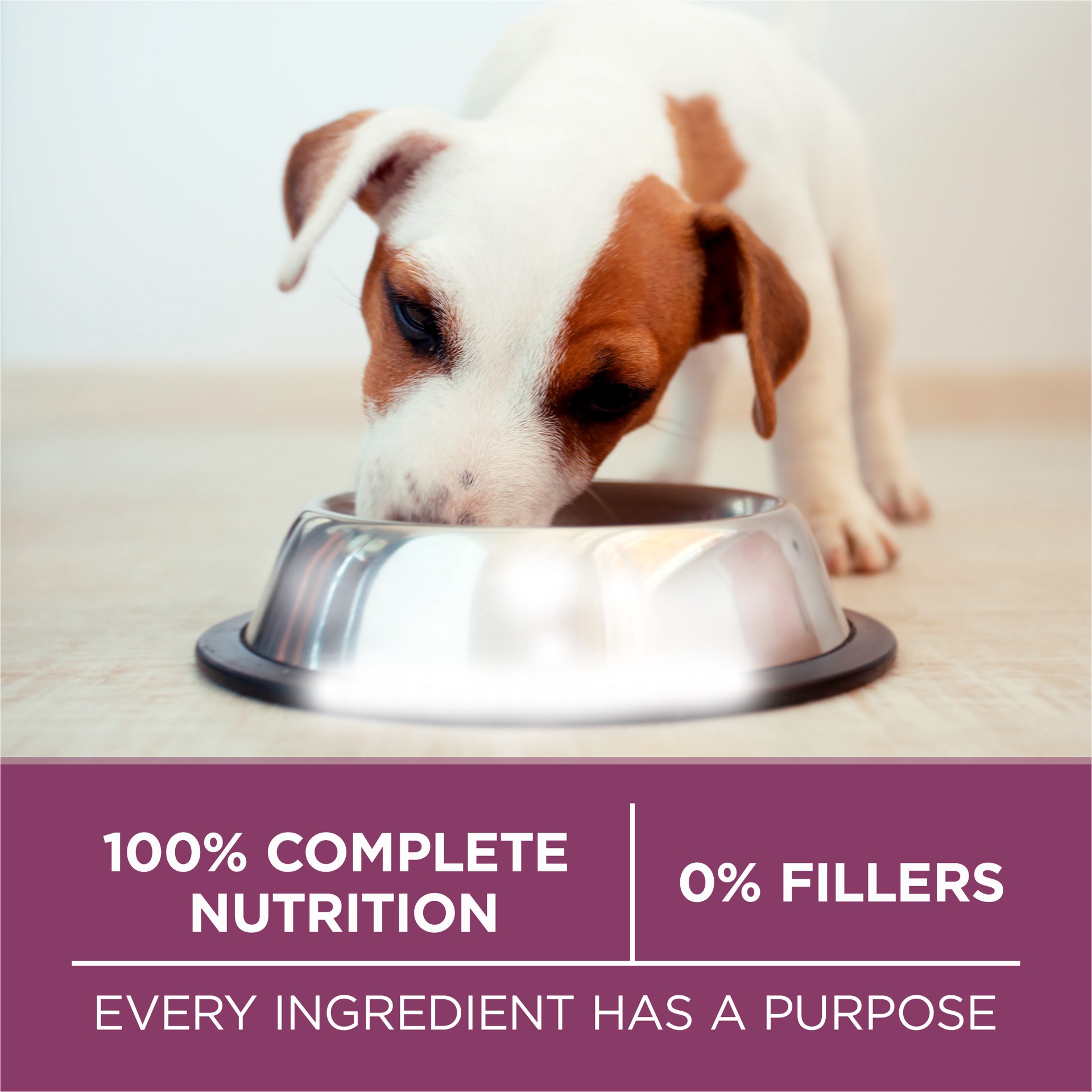 slide 6 of 9, ONE Purina ONE Plus Healthy Puppy Formula High Protein Natural Dry Puppy Food with added vitamins, minerals and nutrients, 4 lb