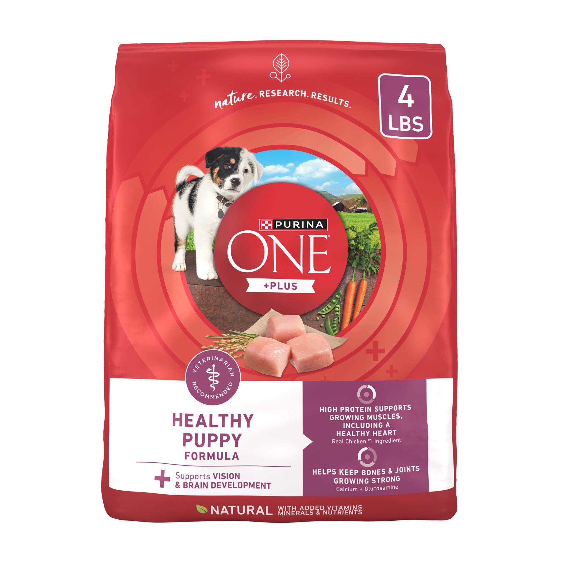 slide 1 of 9, ONE Purina ONE Plus Healthy Puppy Formula High Protein Natural Dry Puppy Food with added vitamins, minerals and nutrients, 4 lb