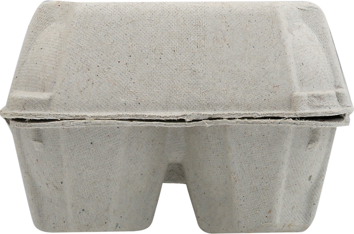 slide 10 of 13, Fresh from Florida Cage Free Brown Large Eggs 12 ea, 12 ct