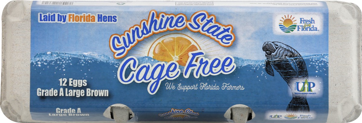 slide 5 of 13, Fresh from Florida Cage Free Brown Large Eggs 12 ea, 12 ct