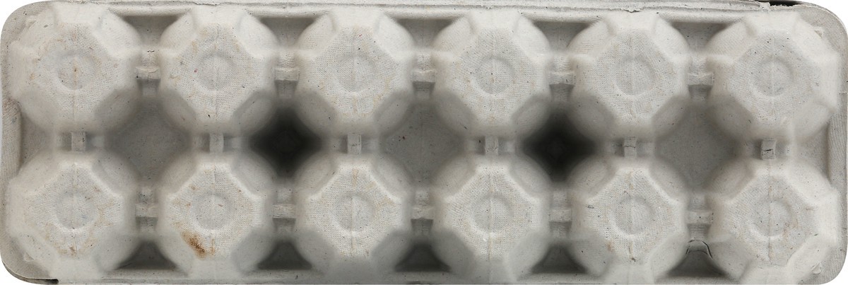 slide 7 of 13, Fresh from Florida Cage Free Brown Large Eggs 12 ea, 12 ct