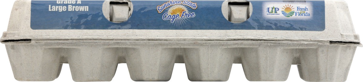 slide 8 of 13, Fresh from Florida Cage Free Brown Large Eggs 12 ea, 12 ct