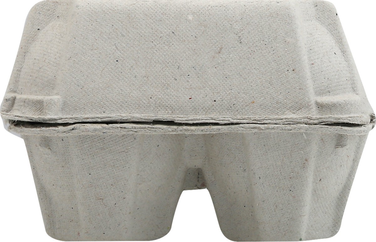 slide 9 of 13, Fresh from Florida Cage Free Brown Large Eggs 12 ea, 12 ct