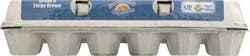 Fresh from Florida Cage Free Brown Large Eggs 12 ea