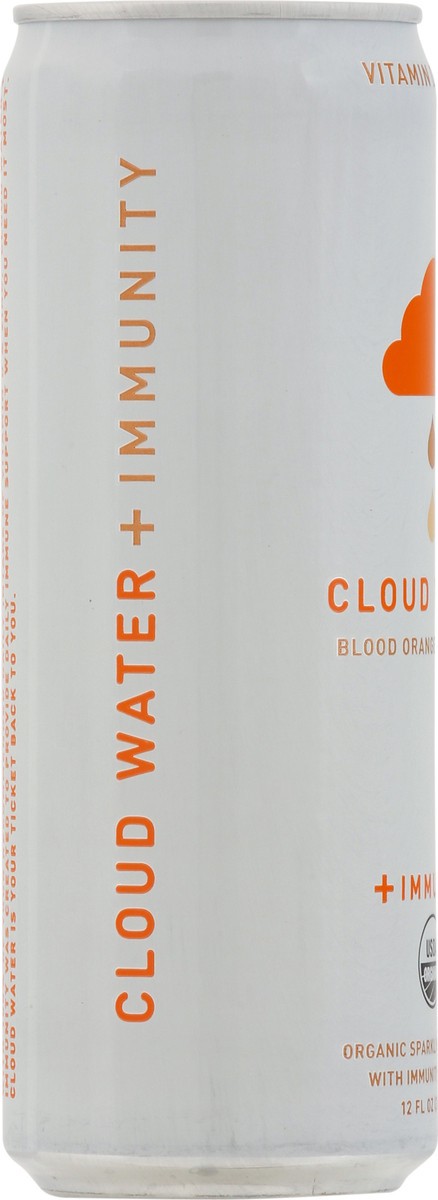 slide 2 of 9, Cloud Water Blood Orange & Coconut Water - 12 oz, 12 oz