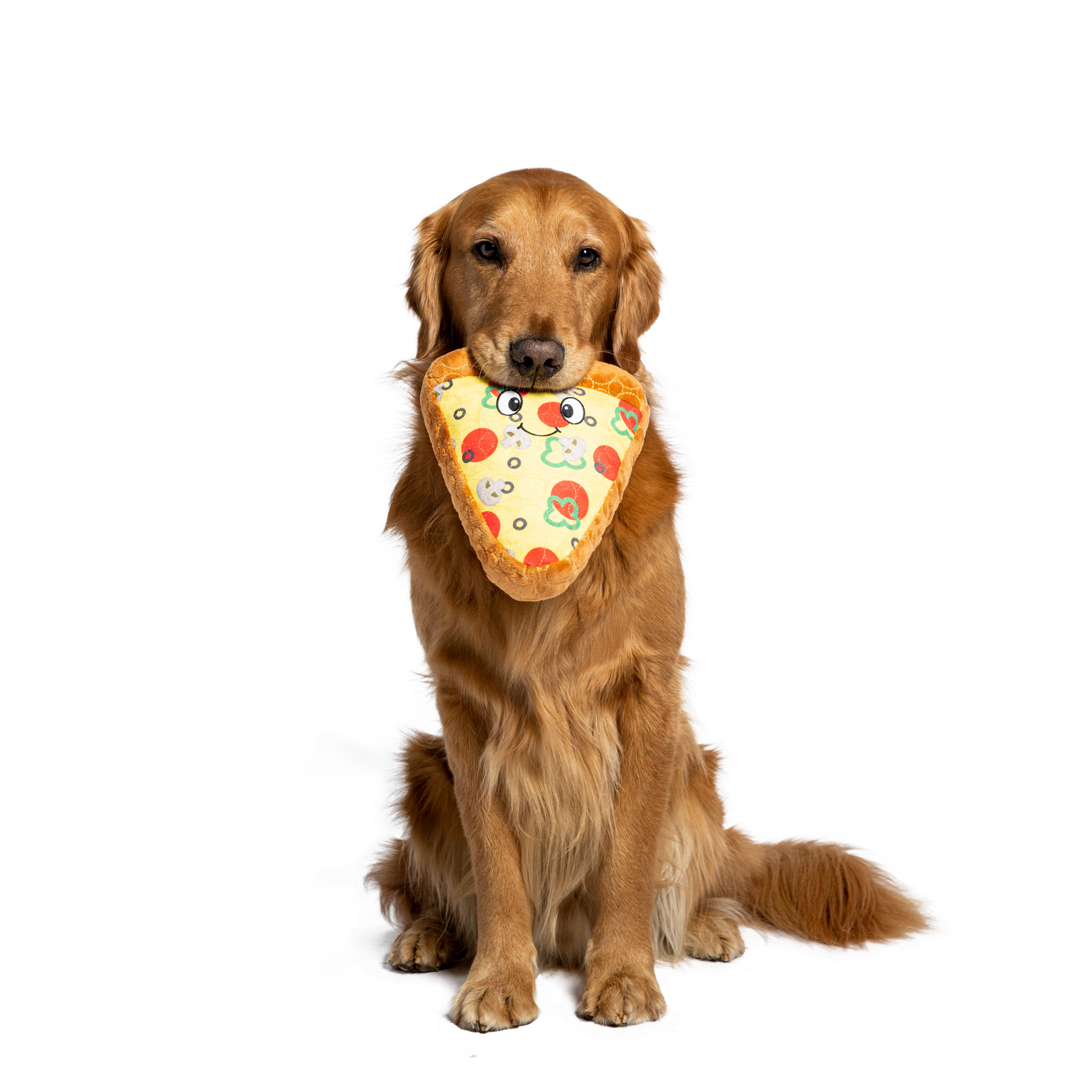 slide 4 of 5, Bite Force Built with Kevlar Tough Plush Pizza Dog Toy, 1 ct