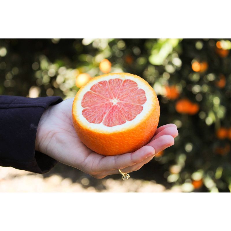 slide 3 of 3, Fresh Cara Cara Oranges - 3lb Bag - Brand May Vary, 3 lb