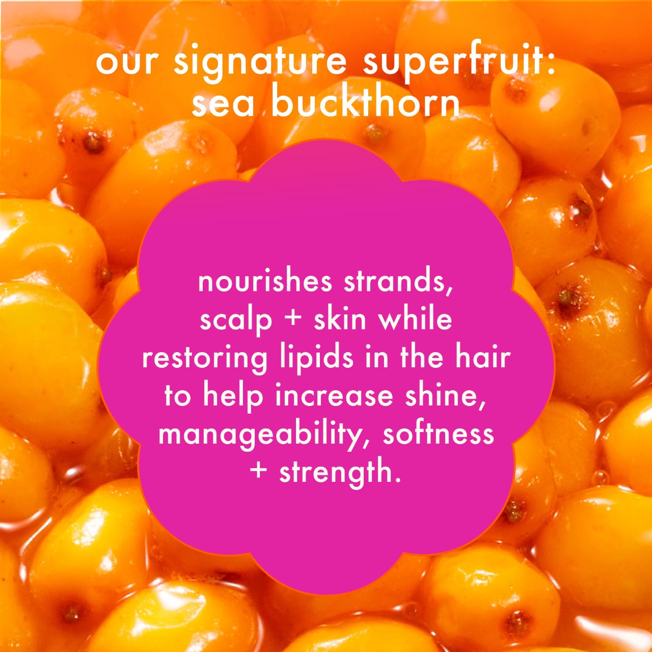slide 6 of 7, amika Normcore Nourishing Shampoo 9.2 oz / 275 mL,