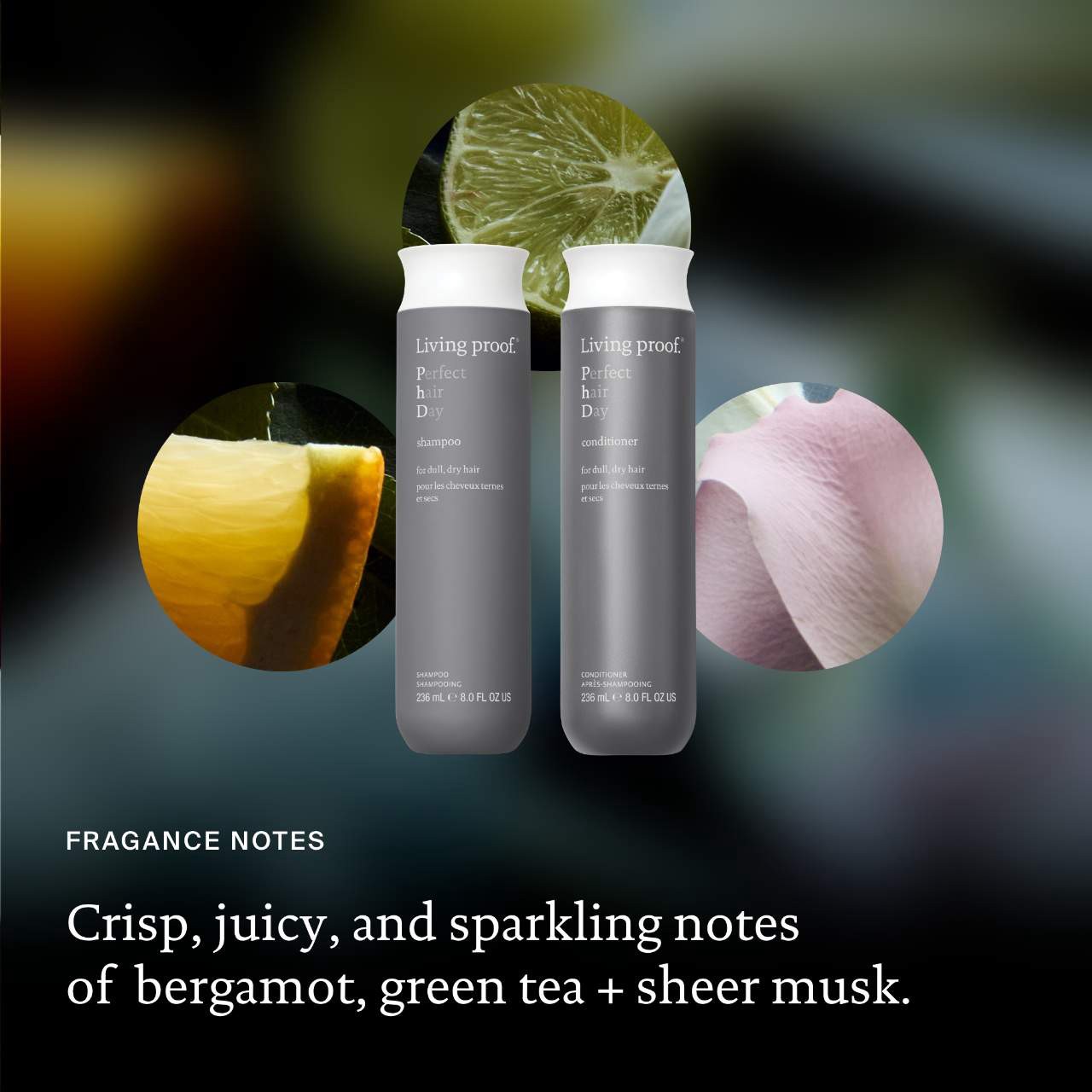 slide 5 of 14, Living Proof Perfect hair Day (PhD) Hydrating Conditioner 8oz / 236ml, 