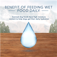 slide 10 of 17, Blue Dog Food 12.5 oz, 12.5 oz