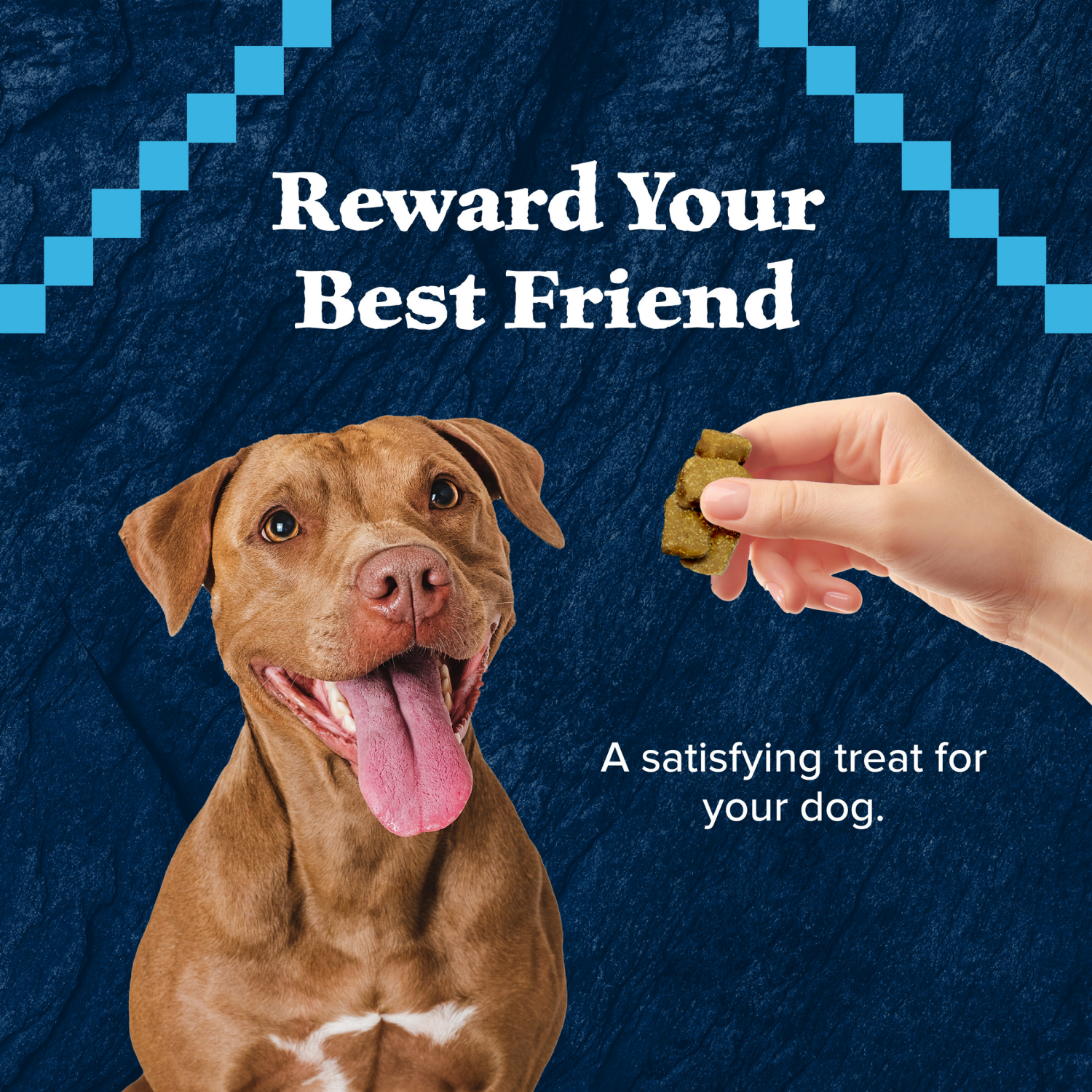 slide 7 of 8, Blue Buffalo Wilderness Trail Wild Bits Grain Free Soft-Moist Training Dog Treats, Duck Recipe, 4 oz