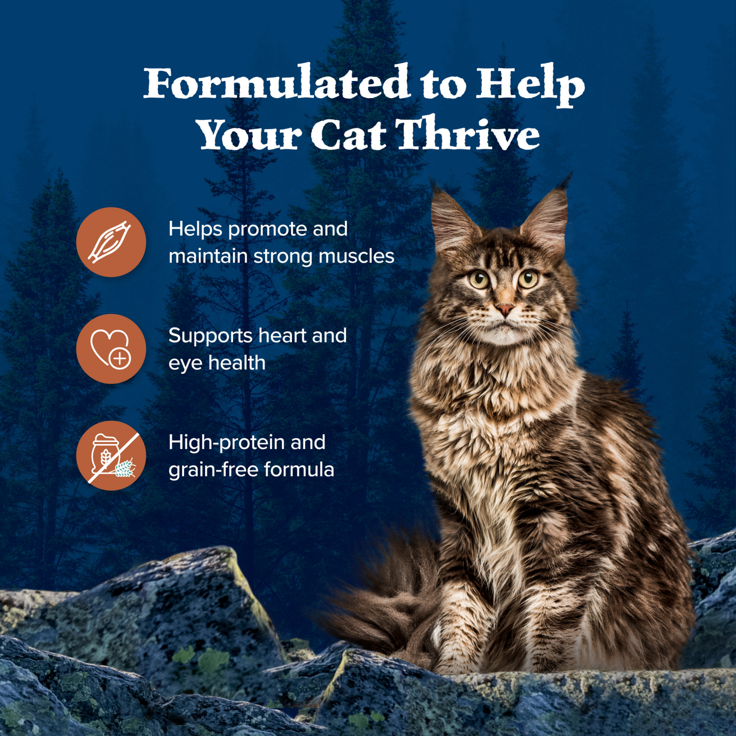 slide 4 of 8, BLUE BUFFALO Wilderness Wild Delights Grain Free, Natural Adult Flaked Wet Cat Food, Chicken & Turkey 5.5-oz can, 5.5 oz