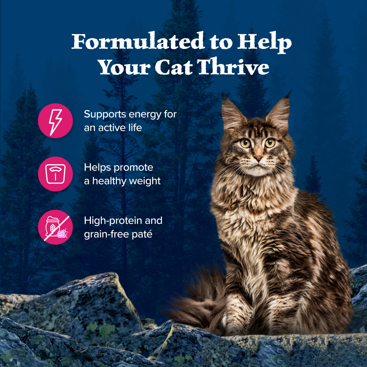 slide 4 of 8, Blue Buffalo Wilderness Grain Free Natural Adult Pate Wet Cat Food, Salmon 3-oz can, 3 oz