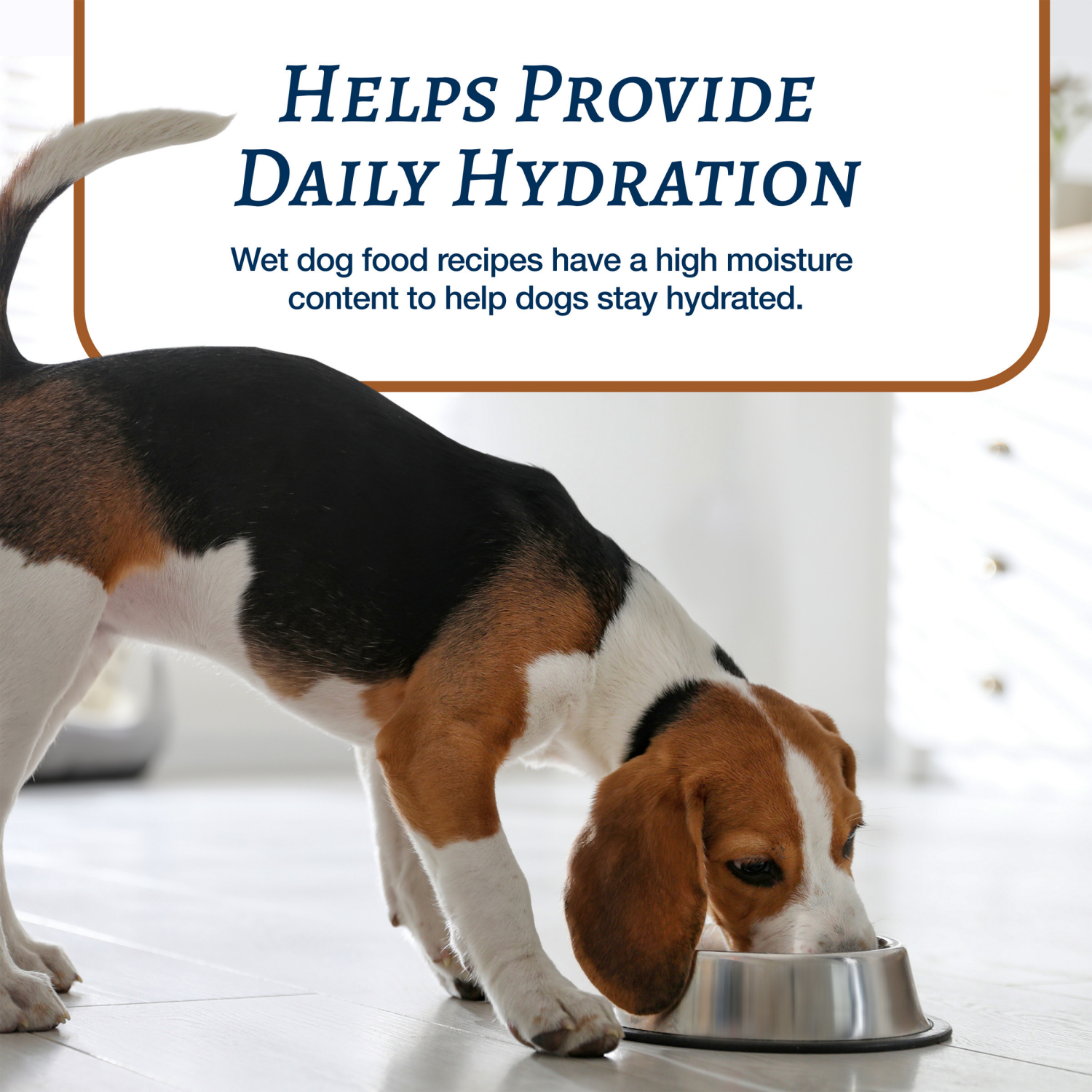 slide 2 of 8, BLUE Food for Dog 12.5 oz, 12.5 oz