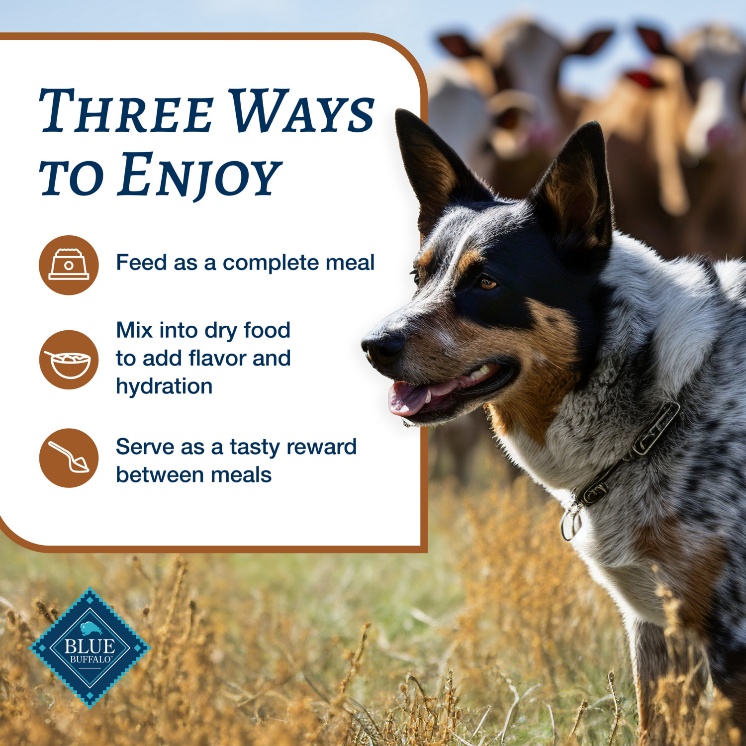 slide 5 of 8, BLUE Food for Dog 12.5 oz, 12.5 oz