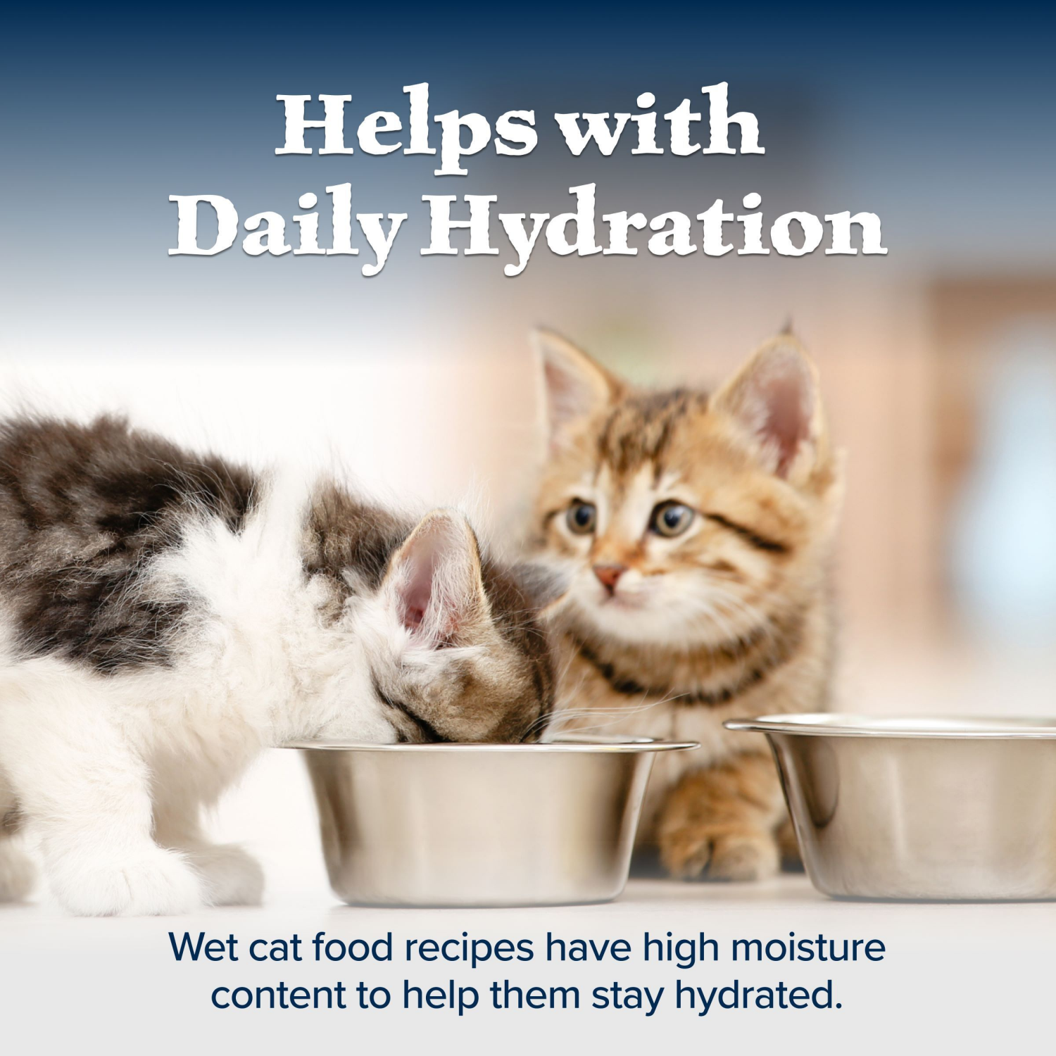 slide 5 of 8, BLUE Food for Kittens 3 oz, 3 oz