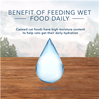 slide 11 of 13, Blue Buffalo Blue Wilderness Kitten Wild Delights Chicken & Trout In Tasty Gravy, 3 oz