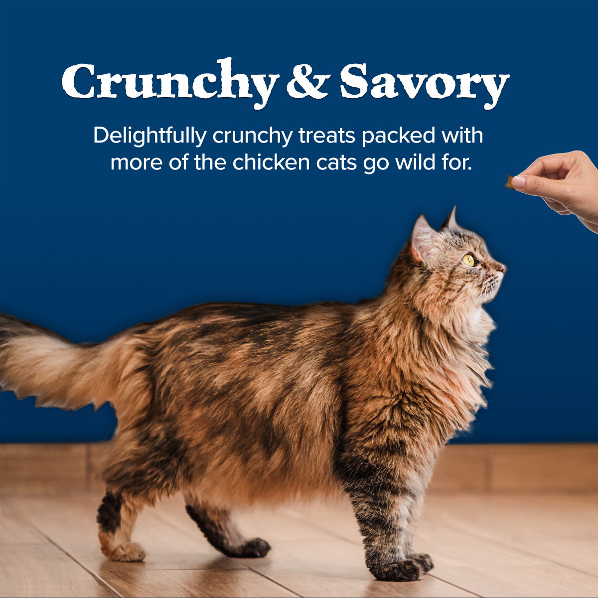 slide 3 of 8, BLUE BUFFALO Wilderness Grain Free Crunchy Cat Treats, Salmon, 2 oz