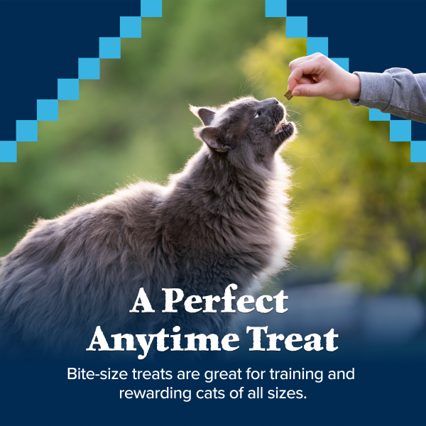 slide 25 of 29, Blue Wilderness Salmon Flavor Cat Treats, 2 oz